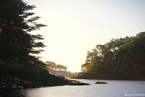 Huitres Le Drève place picture